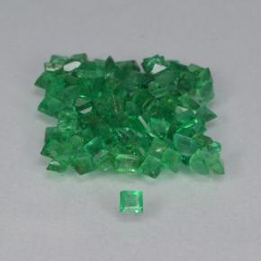 Gemas de Esmeralda Verde cálido natural de 1.39 ct, Cuadrado, VS-SI