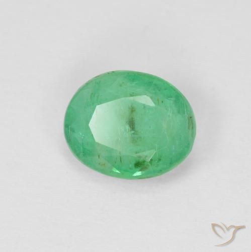 Esmeralda Verde trébol claro natural de 0.67 ct, Ovalada, SI