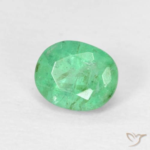 Esmeralda Verde trébol claro natural de 0.47 ct, Ovalada, SI