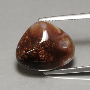 Ágata de fuego multicolor natural de 7,46 ct, transparente, transparente / translúcido
