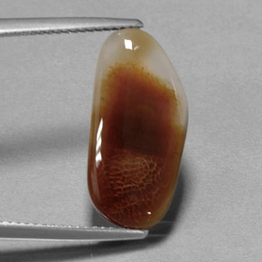 Ágata de fuego multicolor natural de 6,66 ct, transparente, transparente / translúcido