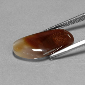 Ágata de fuego multicolor natural de 6,66 ct, transparente, transparente / translúcido