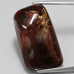 Ágata de fuego multicolor natural de 15,26 ct, forma elegante, opaco