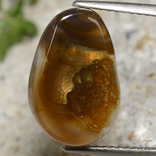 6.92ct Natural Multicolor Ágata de fuego, Elegante, Translúcido