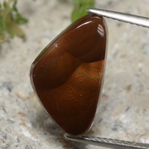 5.76ct Natural Multicolor Ágata de fuego, Trillón, Translúcido