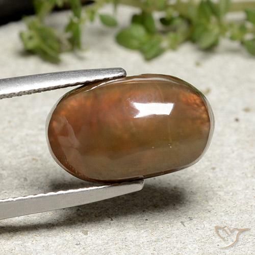 Ágata de fuego Multicolor natural de 6.66 ct, Ovalada, Opaco