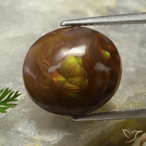 Ágata de fuego Multicolor natural de 7.18 ct, Ovalada, Opaco