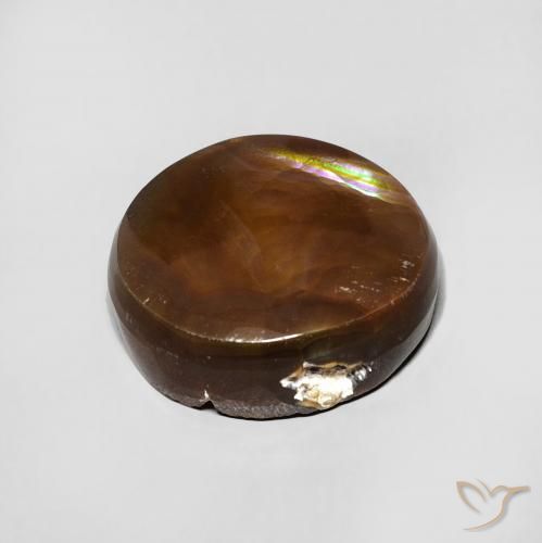 Ágata de fuego Multicolor natural de 5.73 ct, Ovalada, Opaco
