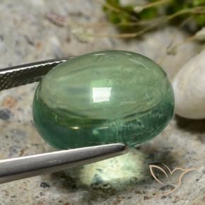 Fluorita Verde frío natural de 15.94 ct, Ovalada, Transparente