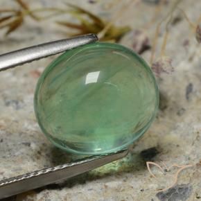Fluorita verde musgo natural de 8,35 ct, corte óvalo, transparente