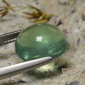 Fluorita verde musgo natural de 8,35 ct, corte óvalo, transparente