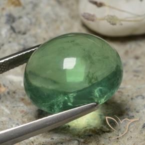 Fluorita Verde terroso natural de 20.63 ct, Ovalada, Transparente