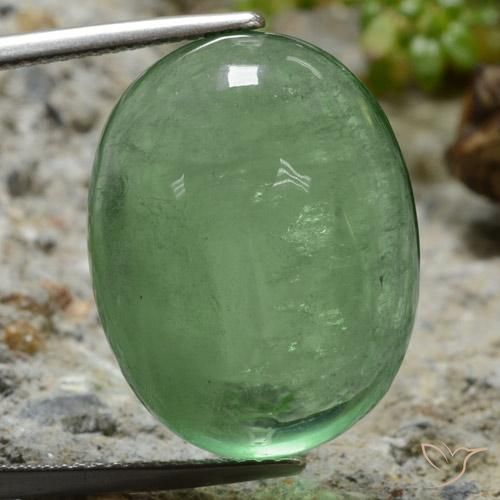 32.31ct Natural Verde claro Fluorita, Ovalada, Transparente