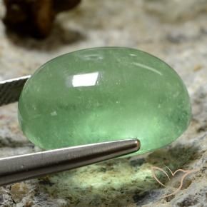Fluorita Verde claro natural de 27.33 ct, Ovalada, Transparente