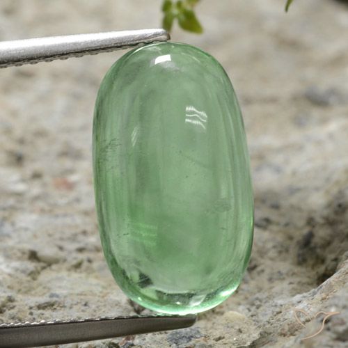 7.35ct Natural Verde claro Fluorita, Ovalada, Transparente