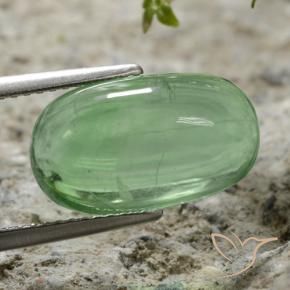 Fluorita Verde claro natural de 7.35 ct, Ovalada, Transparente