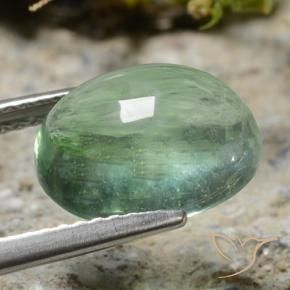 Fluorita verde natural de 4,62 ct, corte óvalo, transparente