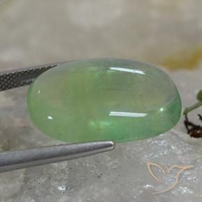 Fluorita Verde terroso natural de 19.97 ct, Forma Cojín, Transparente
