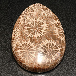 Coral fósil multicolor natural de 42,11 ct, en forma de pera, opaco