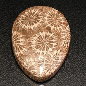 Coral fósil multicolor natural de 42,11 ct, en forma de pera, opaco