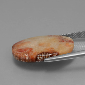 Coral fósil Multicolor natural de 15.17 ct, Corte Óvalo, Opaco