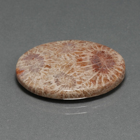 Coral fósil multicolor natural de 15,93 ct, corte óvalo, opaco