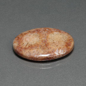 Coral fósil multicolor natural de 14,77 ct, corte óvalo, opaco