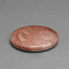 Coral fósil multicolor natural de 15,96 ct, corte óvalo, opaco