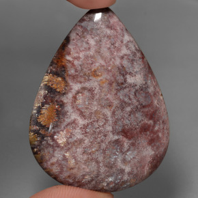 Coral fósil multicolor natural de 65,56 ct, en forma de pera, opaco
