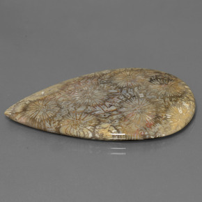 Coral fósil Multicolor natural de 70.58 ct, En forma de pera, Opaco