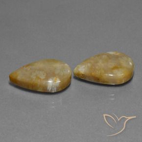 Gemas de Coral fósil Multicolor natural de 21.95 ct, En forma de pera, Opaco