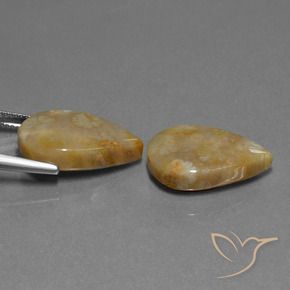 Gemas de Coral fósil Multicolor natural de 21.95 ct, En forma de pera, Opaco