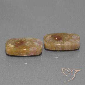 Gemas de Coral fósil Multicolor natural de 30.11 ct, Forma Cojín, Opaco
