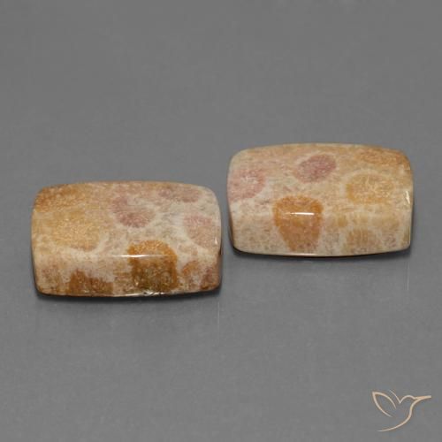 Gemas de Coral fósil Multicolor natural de 35.05 ct, Forma Cojín, Opaco