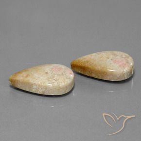 Gemas de Coral fósil Multicolor natural de 28.35 ct, En forma de pera, Opaco