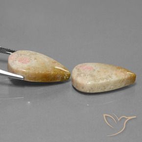 Gemas de Coral fósil Multicolor natural de 28.35 ct, En forma de pera, Opaco