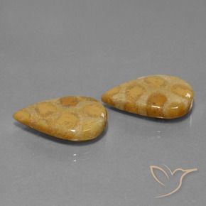 Gemas de Coral fósil Multicolor natural de 22.90 ct, En forma de pera, Opaco