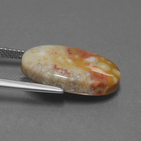 Coral fósil multicolor natural de 8,82 ct, corte óvalo, opaco