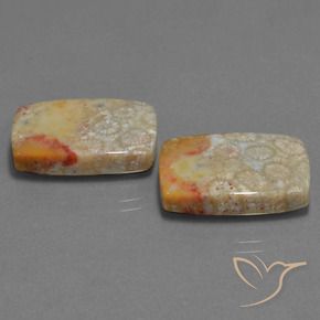 Gemas de Coral fósil Multicolor natural de 29.41 ct, Forma Cojín, Opaco