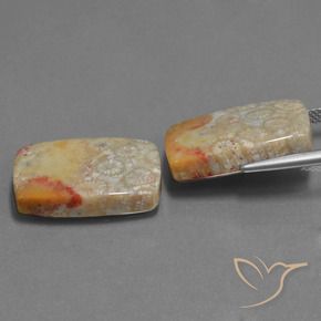 Gemas de Coral fósil Multicolor natural de 29.41 ct, Forma Cojín, Opaco