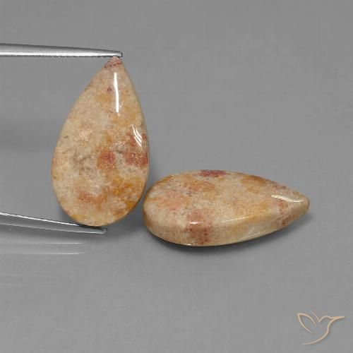 22.64ctw Natural Multicolor Coral fósil, En forma de pera, Opaco