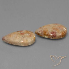 Gemas de Coral fósil Multicolor natural de 22.64 ct, En forma de pera, Opaco