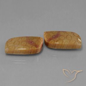 Gemas de Coral fósil Multicolor natural de 28.06 ct, Elegante, Opaco