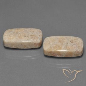 Gemas de Coral fósil Multicolor natural de 30.16 ct, Forma Cojín, Opaco