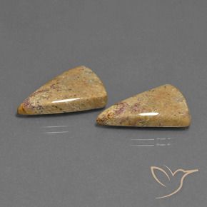 Gemas de Coral fósil Multicolor natural de 16.43 ct, Trillón, Opaco