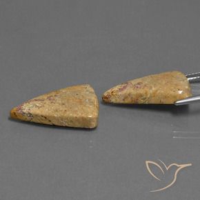 Gemas de Coral fósil Multicolor natural de 16.43 ct, Trillón, Opaco