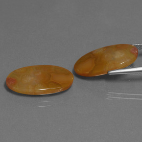 Gemas de Coral fósil Multicolor natural de  ct, Corte Óvalo, Translúcido