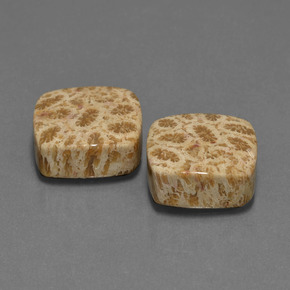 Gemas de Coral fósil Multicolor natural de  ct, Corte Cojín, Opaco