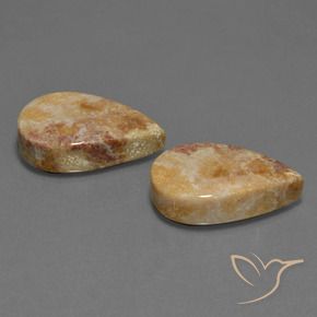 Gemas de Coral fósil Multicolor natural de 33.44 ct, En forma de pera, Opaco