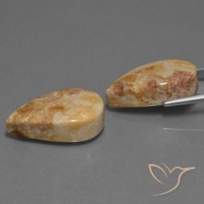 Gemas de Coral fósil Multicolor natural de 33.44 ct, En forma de pera, Opaco